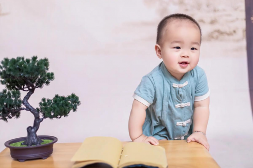 嘉善可爱的企鹅宝宝